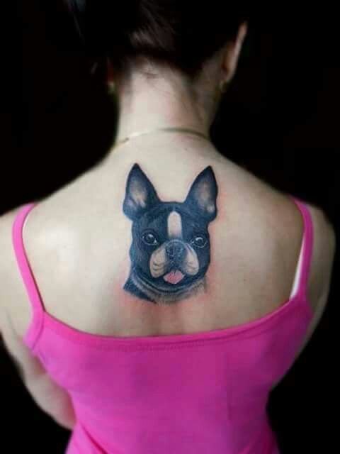 Boston Terrier with its tongue out tattoo on the back of a girl