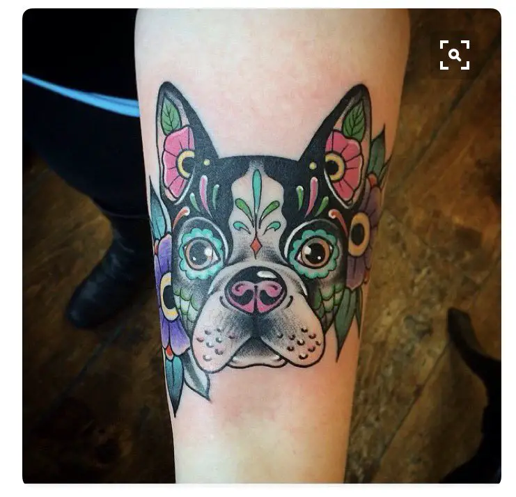 face of Boston Terrier with colorful mandala and flowers design tattoo on the forearm