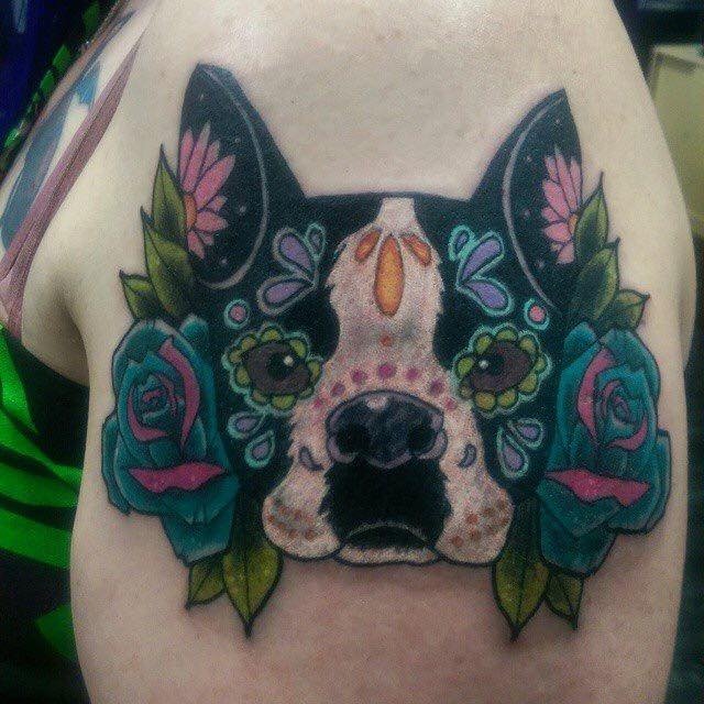 face of Boston Terrier designed with colorful flowers and mandala tattoo on the shoulder
