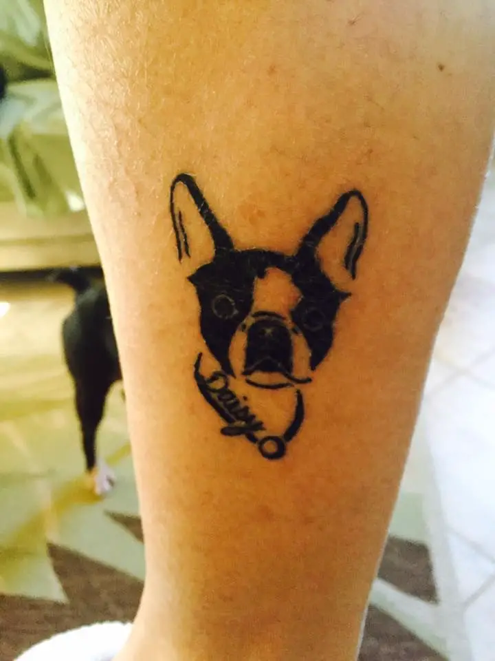 small outline face of Boston Terrier with name 