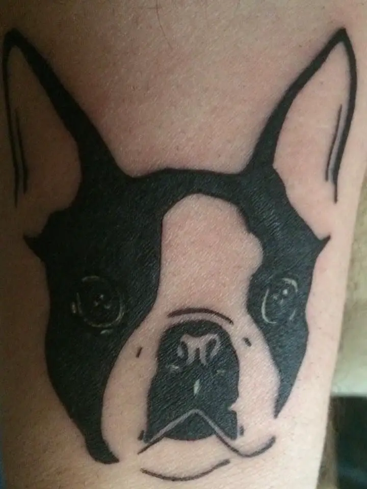 outline face of Boston Terrier tattoo