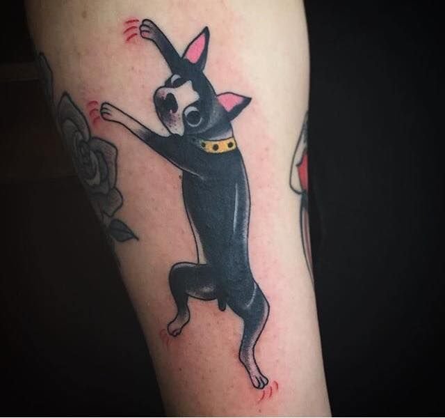 animated climbing Boston Terrier tattoo
