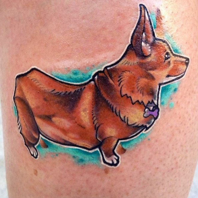 a red corgi standing sideways with blue shadow tattoo on the leg