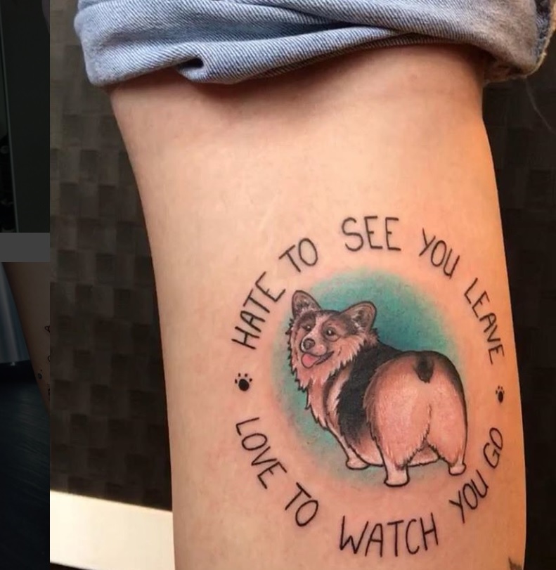 Corgi Dog looking back showcasing its butt inside a message