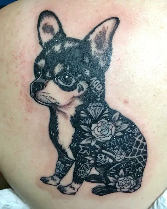 black Chihuahua with random designs on its body tattoo