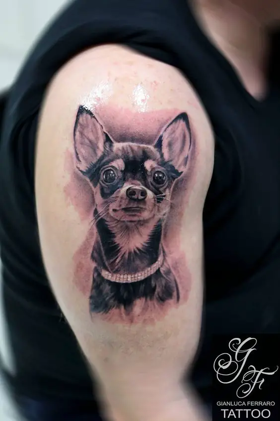 3D Chihuahua tattoo on the arm