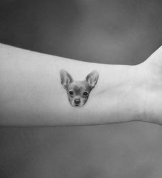 face of Chihuahua tattoo on the wrist