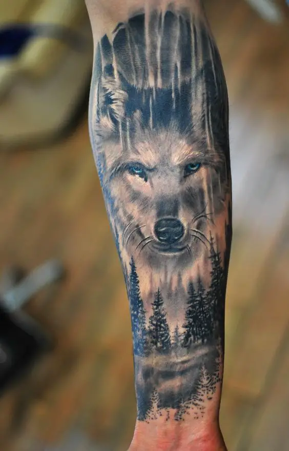 fierce face of a Husky in the night sky with pine tree under him tattoo on the forearm