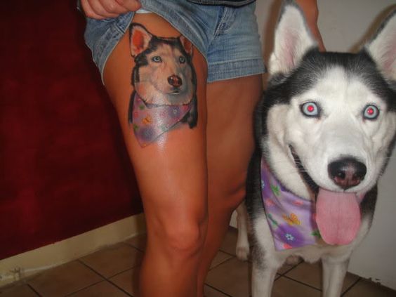 tattoo of a realistic Husky wearing purple scarf on the thigh of a woman standing behind his Husky who is wearing the same purple scarf and sticking its tongue out