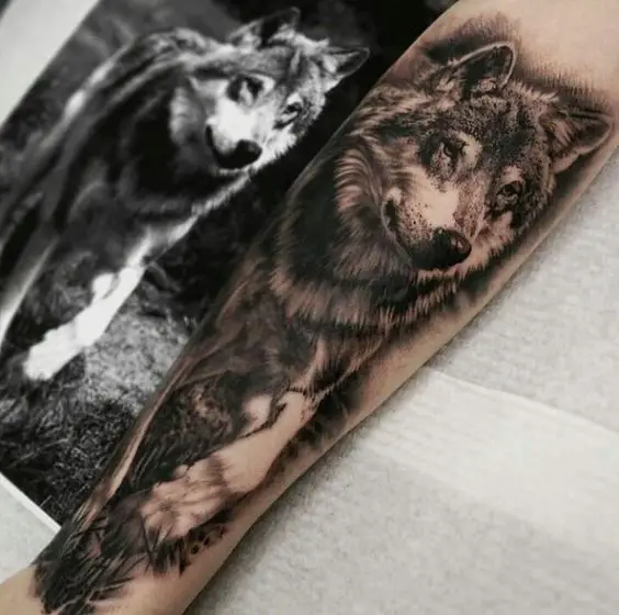 tattoo of a black and gray Husky walking in the grass on the forearm are with the photo inspiration behind