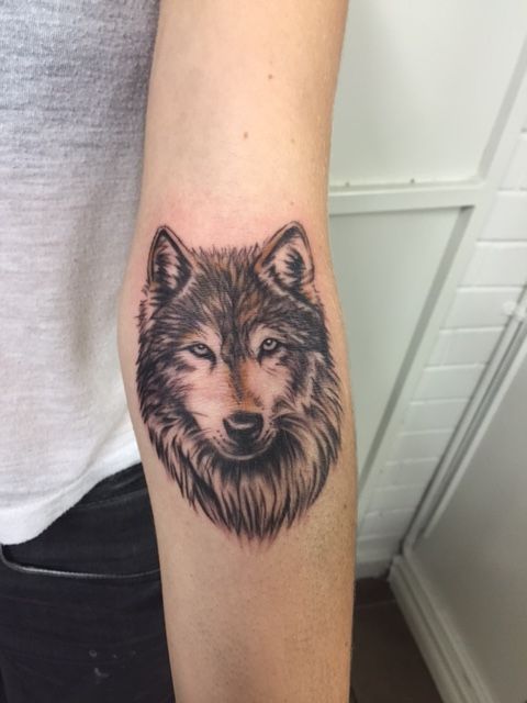 black and gray face of a Husky tattoo on the forearm