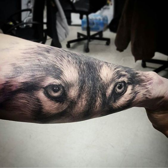 Husky eyes tattoo on the forearm
