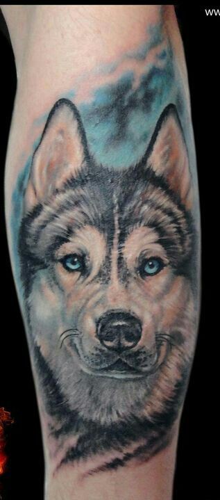 realistic face of a Husky tattoo the leg