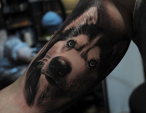adorable realistic face of a Husky tattoo on the leg