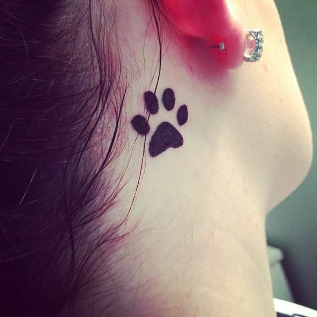 black paw print tattoo on the back of the ear of the woman.