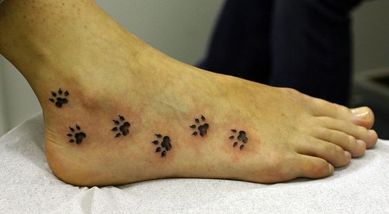 five small paw prints tattoo on the foot of the woman