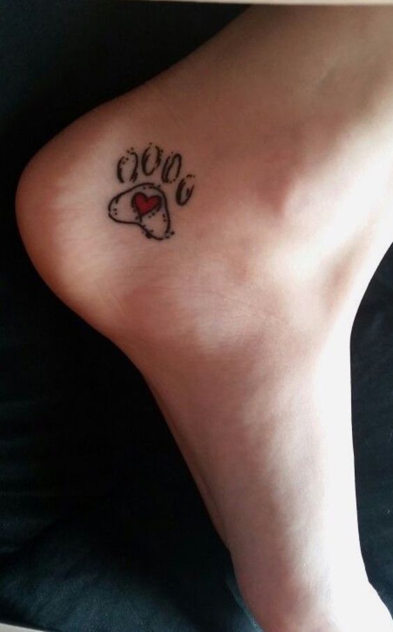 outline of paw print with heart tattoo on the heel