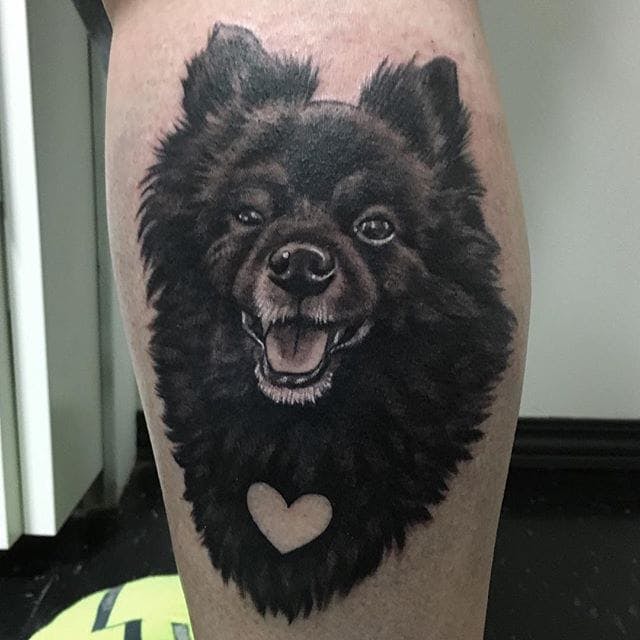 realistic black and gray Pomeranian Tattoo tattoo on the leg