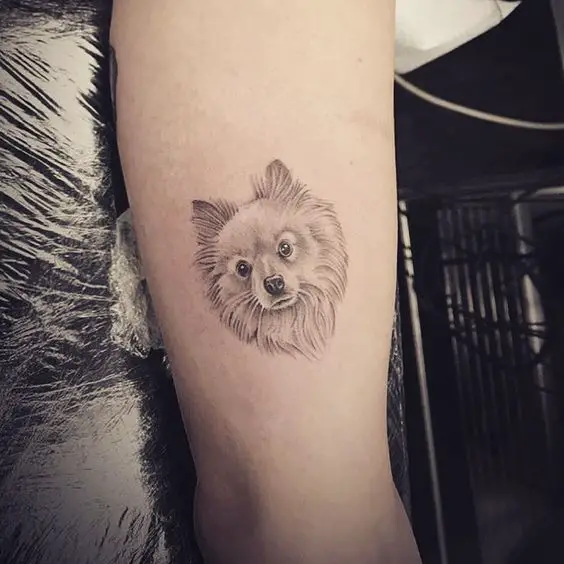 minimalist black and gray face of a Pomeranian Tattoo on the leg