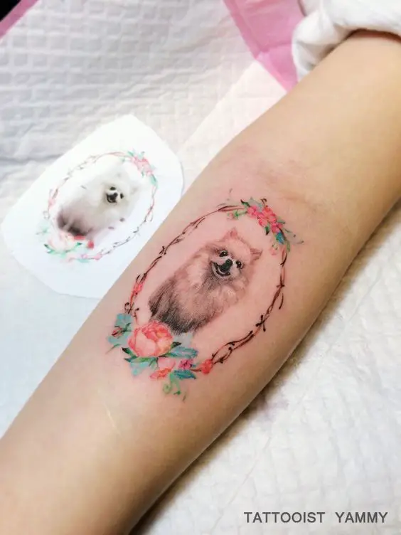 realistic sitting white Pomeranian with flowers and leaves frame tattoo on the forearm