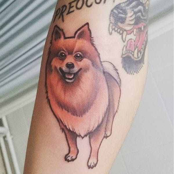 standing red Pomeranian tattoo