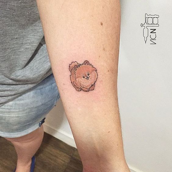 minimalist red Pomeranian Tattoo on the forearm