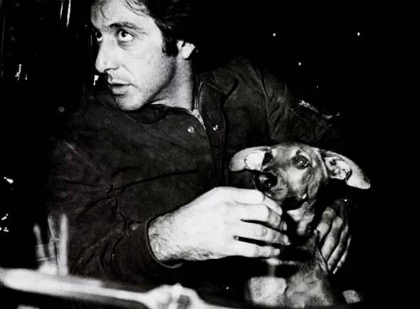  black and white photo Al Pacino with his Dachshund