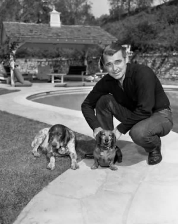 Clark Gable in the hallway with its two Dachshunds