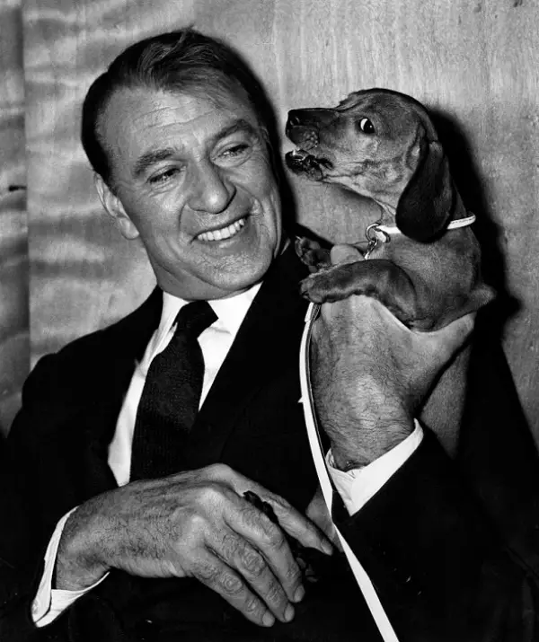 Gary Cooper looking at his Dachshund in hand