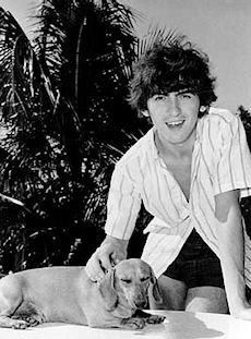 George Harrison touching his Dachshund resting on the table