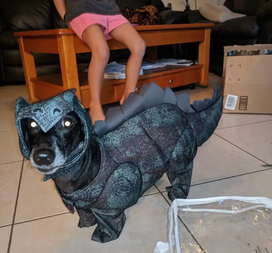 Dachshund Dinosaur Costume