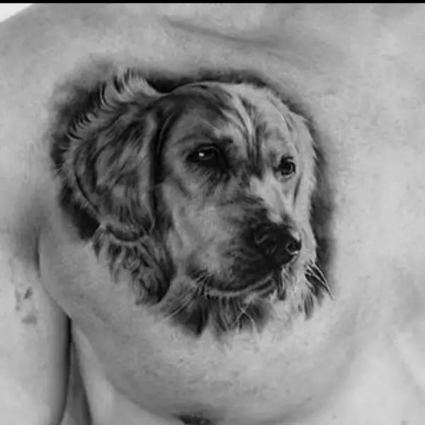 black and white tattoo of a 3D face of Golden Retriever Tattoo on the chest