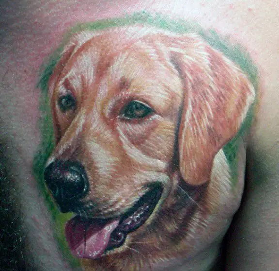 realistic Golden Retriever with green shadow tattoo on the chest