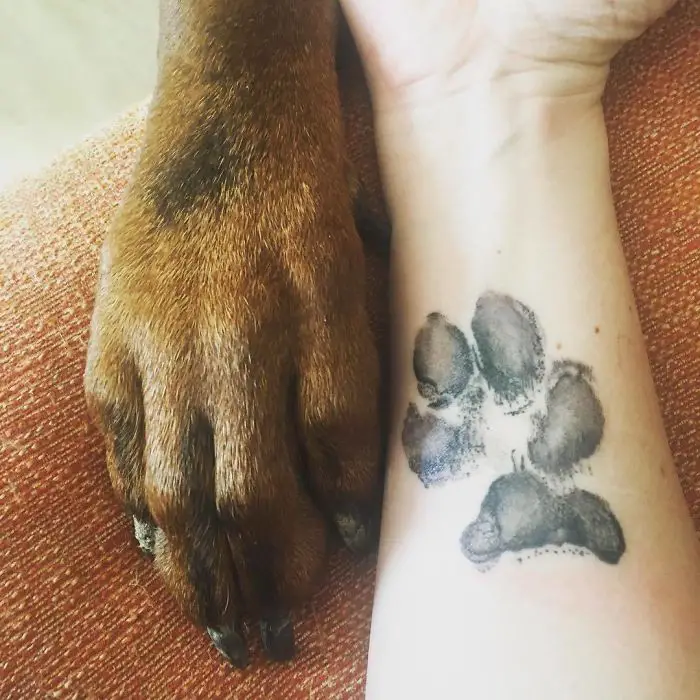 hands of dog beside the wrist with paw print tattoo
