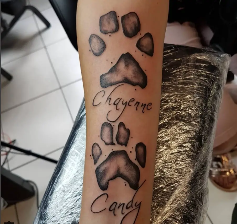 two large paw print with name tattoo on arms