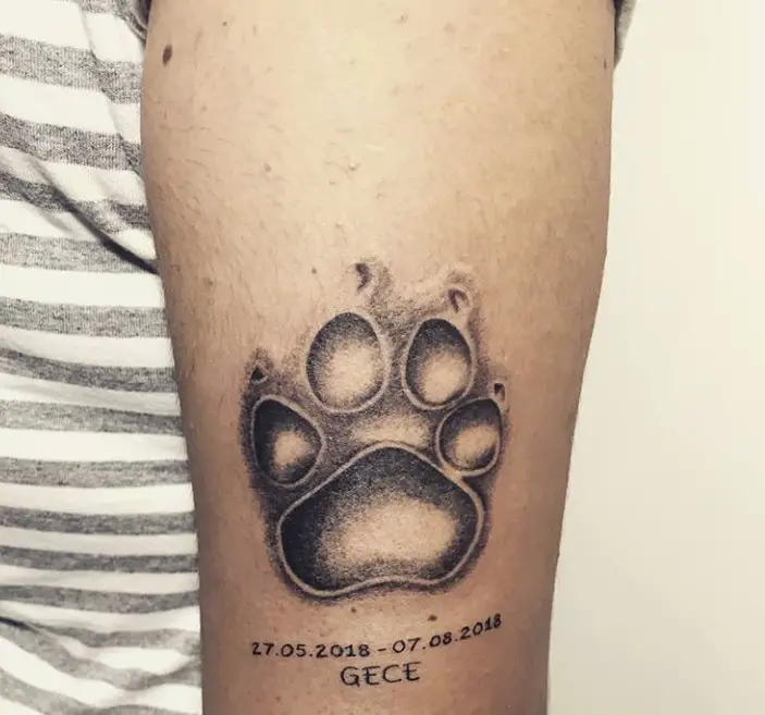 paw print with small date of life span and name tattoo on wrist