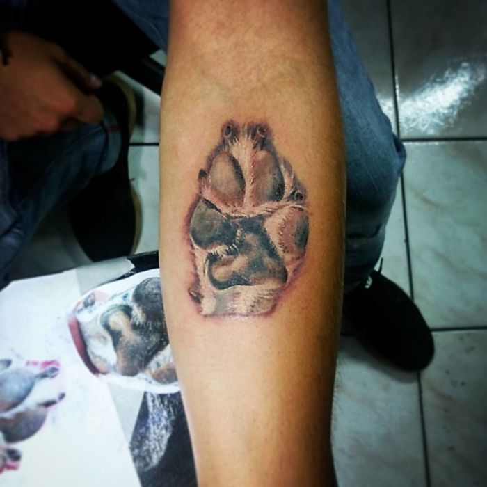 3D paw print tattoo on the arm