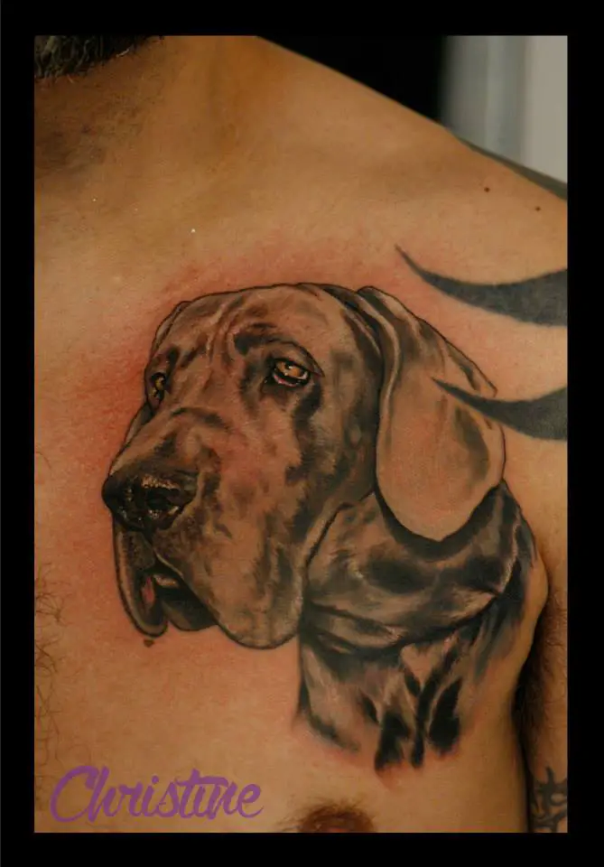 black and grey sad face of a Great Dane tattoo on the chest