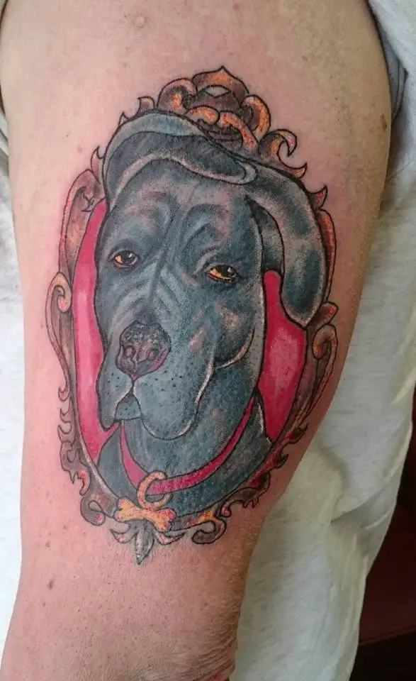 animated face of a Great Dane in a hold vintage frame tattoo on the shoulder