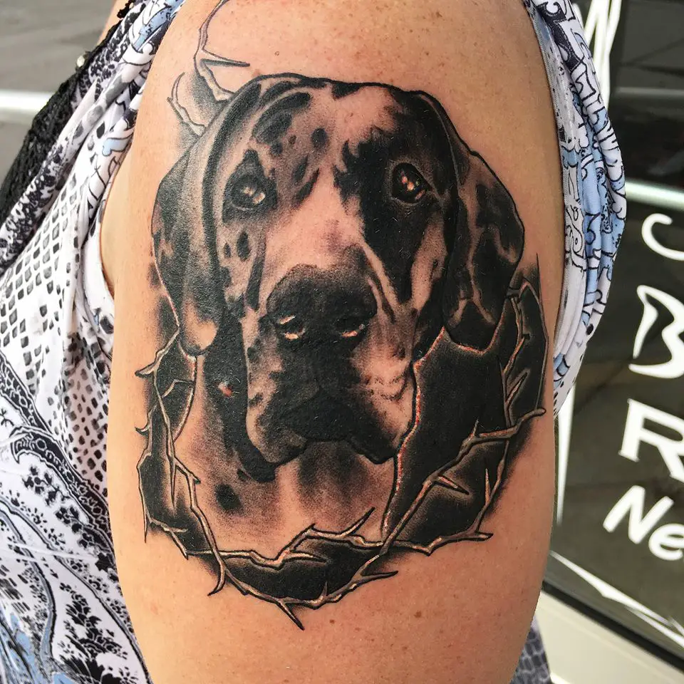 black and grey sad face of a Great Dane tattoo tattoo on the shoulder