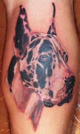 realistic sideview face of a Great Dane tattoo on the leg