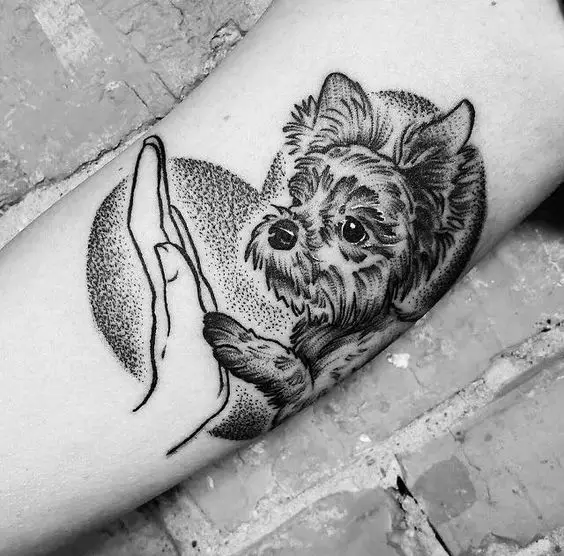 black and gray outline of a yorkie giving a paw tattoo on the biceps