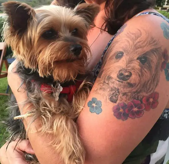 a woman with the face of her yorkie tattooed on her shoulder