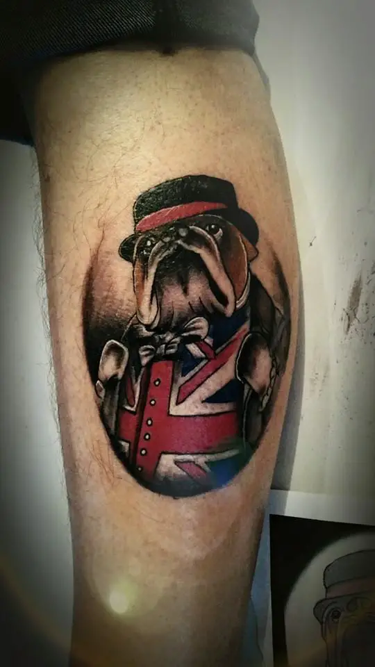 3D English Bulldog wearing a USA flag inspired outfit with a cap while looking up tattoo on the leg