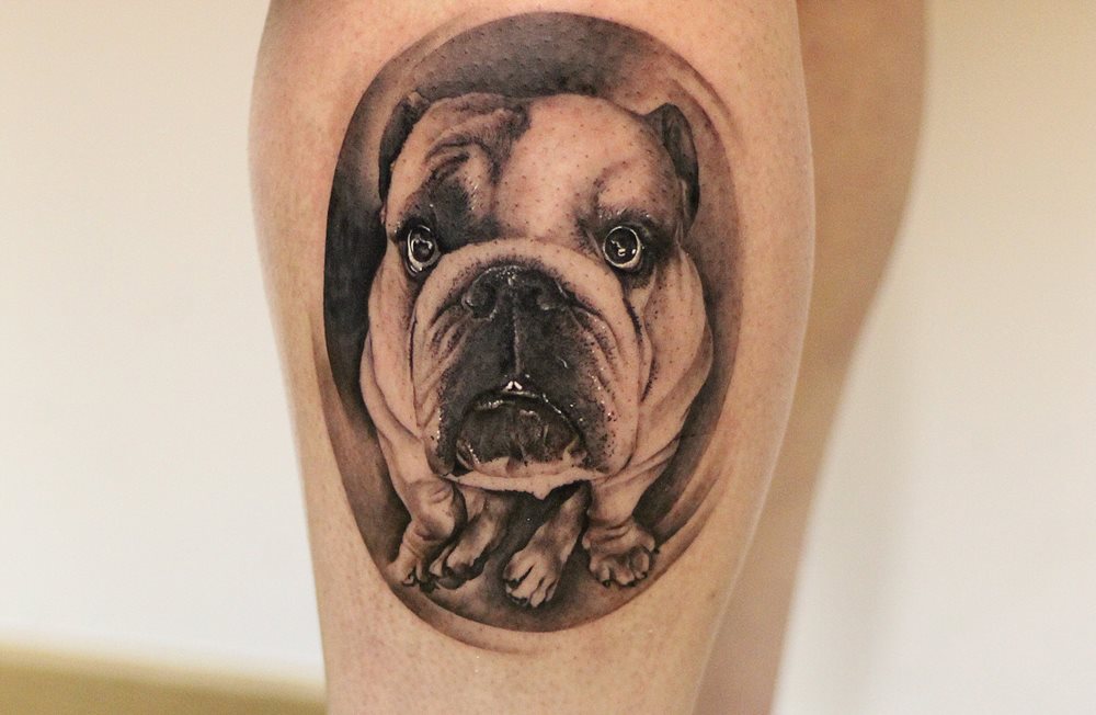 3D English Bulldog sitting inside a black circle shadow tattoo on the leg