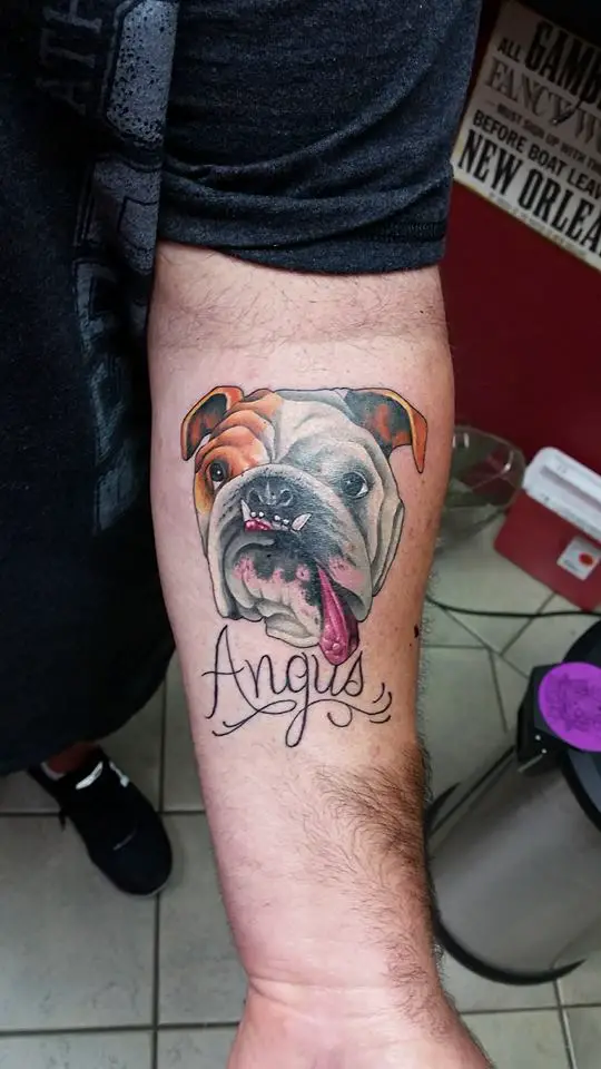 colored English Bulldog face with its tongue hanging on the side of its mouth tattoo on the forearm
