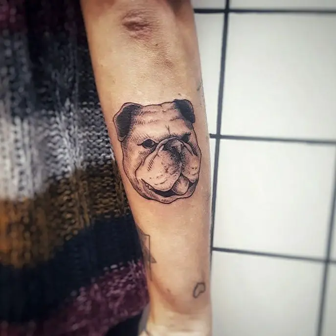 face of English Bulldog tattoo on the arm