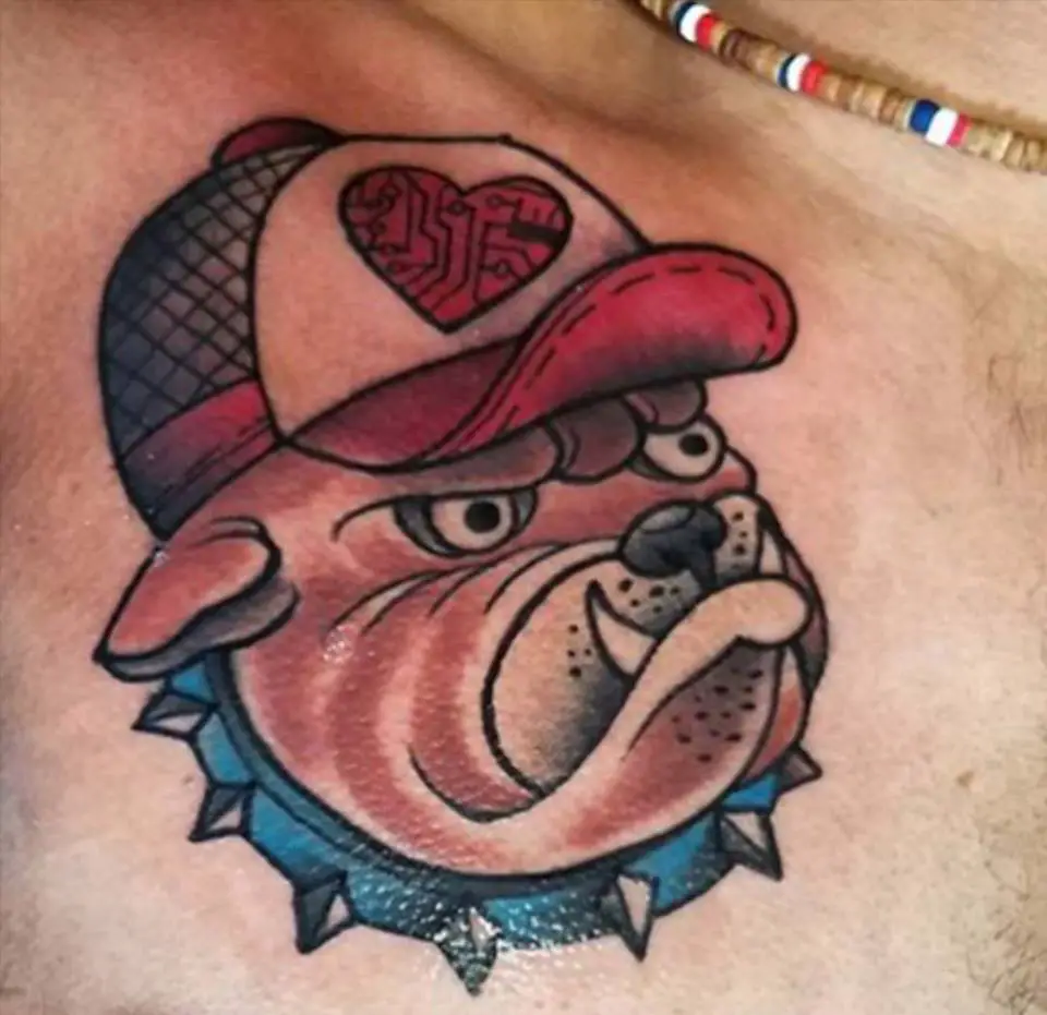 angry face of an English Bulldog wearing a cap and a collar with horns tattoo on the chest