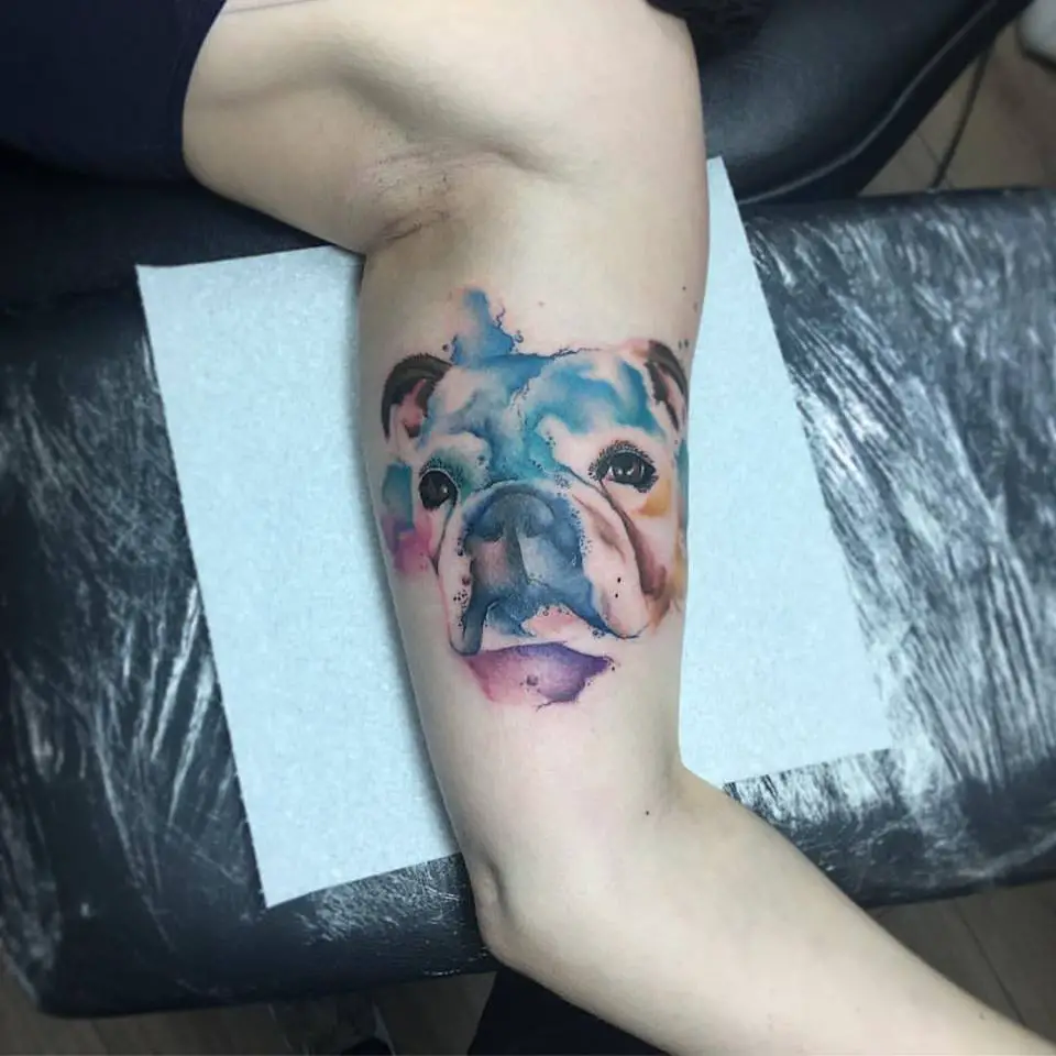 colorful watercolor face of English Bulldog tattoo on the biceps