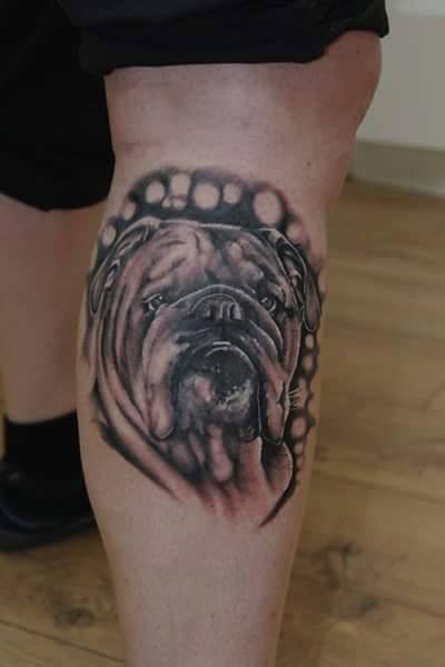 3D face of an English Bulldog tattoo on the leg